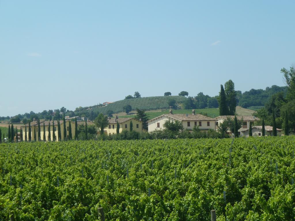 Agriturismo Villaggio Green Montefalco Exterior photo